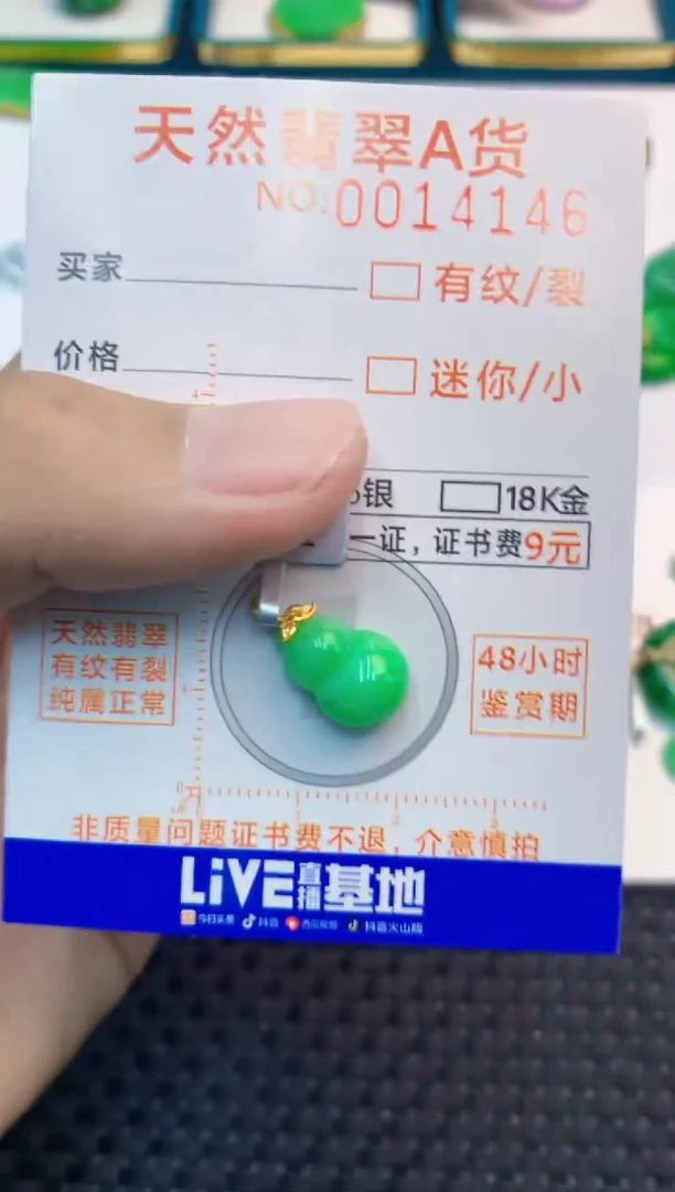 翡翠未镶嵌吊坠(不含链)1