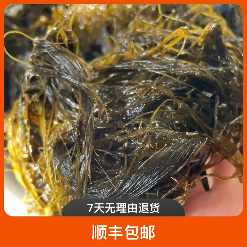 【渔岛二姐】长海县深海伐绳海麻线  （送半斤蚬子肉）