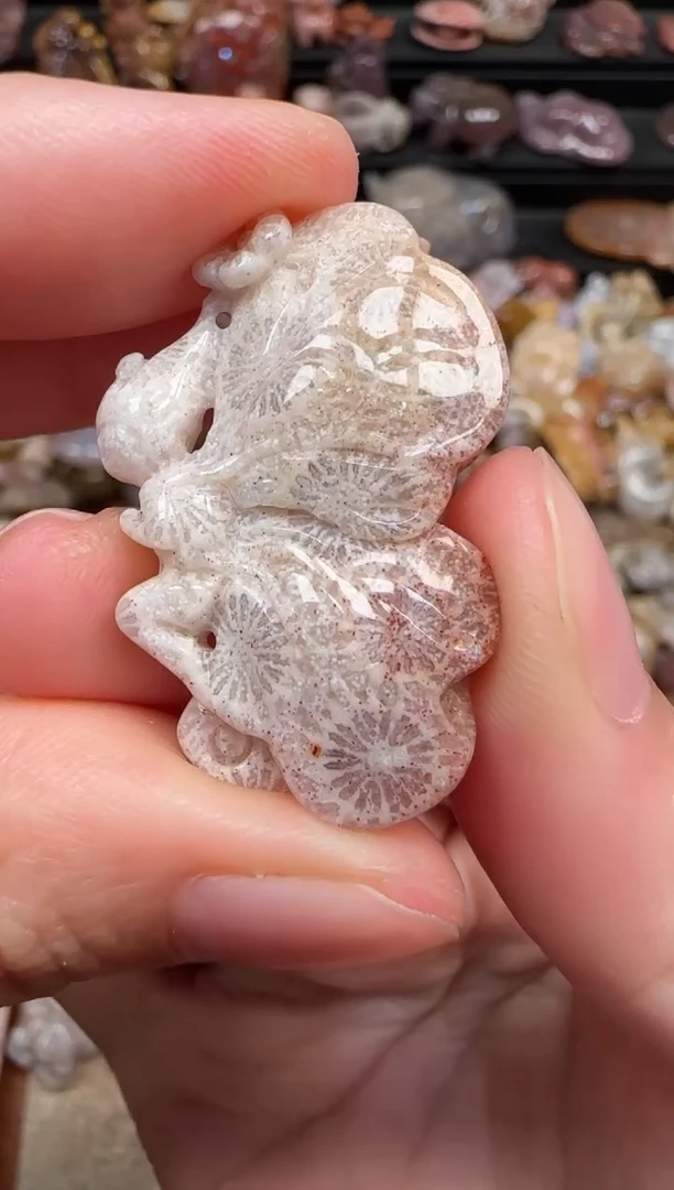 颈饰未镶嵌硅化珊瑚（珊瑚玉）381