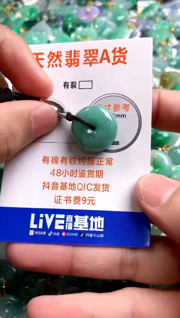 颈饰未镶嵌翡翠13006500