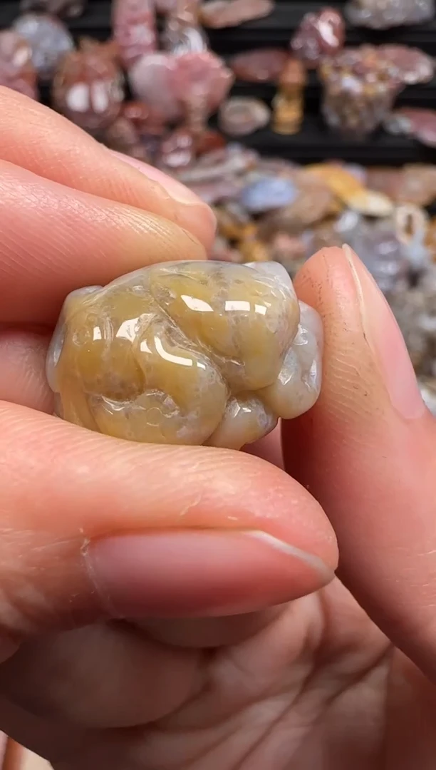 【闪购商品】硅化珊瑚（珊瑚玉）颈饰未镶嵌314