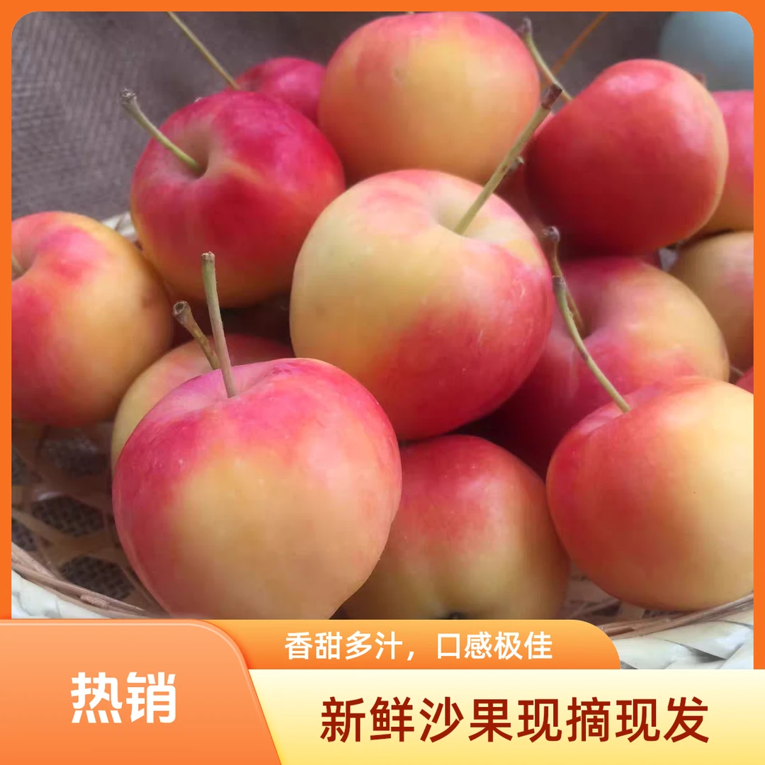 东北黄太平小沙果老品种沙果新鲜采摘酸酸甜甜