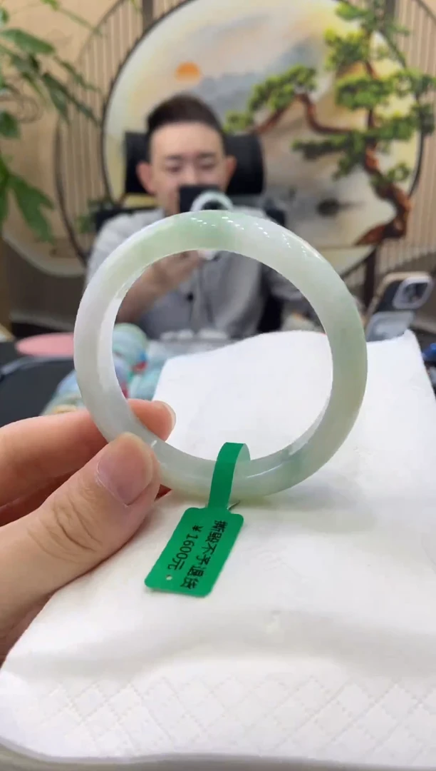 未镶嵌手镯翡翠5