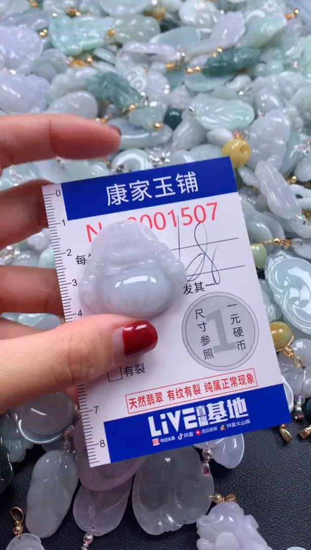 颈饰未镶嵌翡翠1507