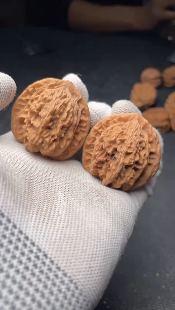 核桃a305  霞云岭 39尺