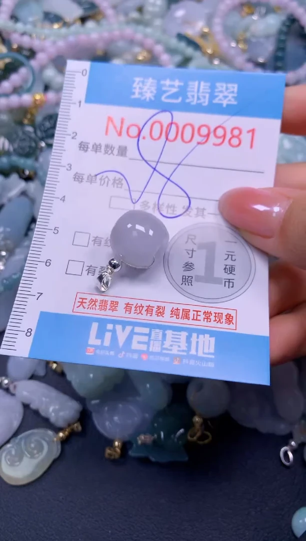 颈饰未镶嵌翡翠9981
