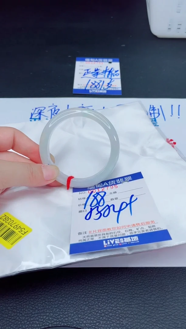 未镶嵌手镯翡翠我2