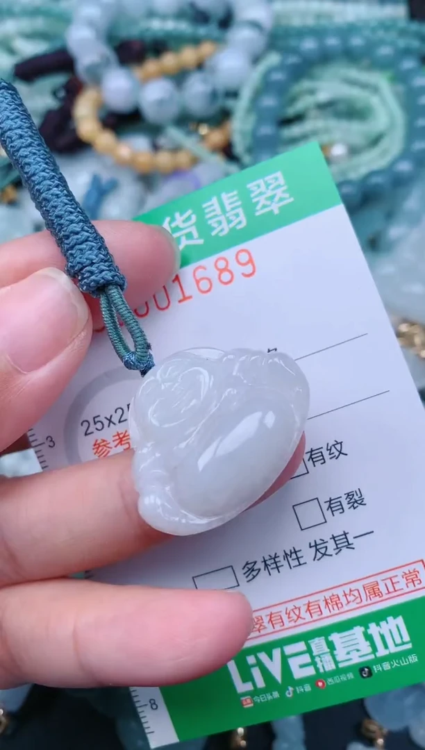 翡翠未镶嵌颈饰.0001689