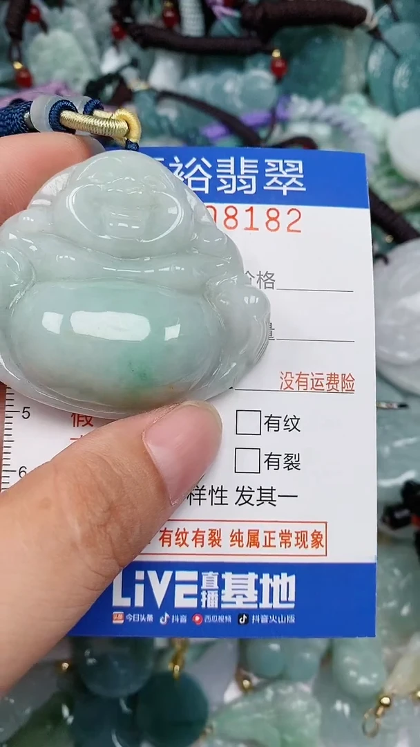 翡翠未镶嵌颈饰...0008182