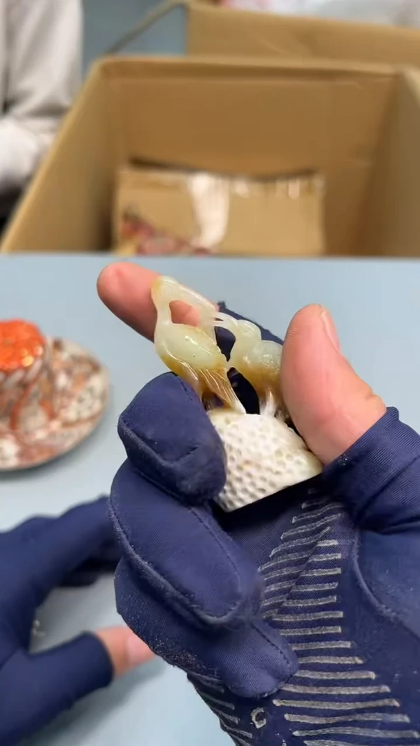 其他美***9紫砂茶具紫砂茶具