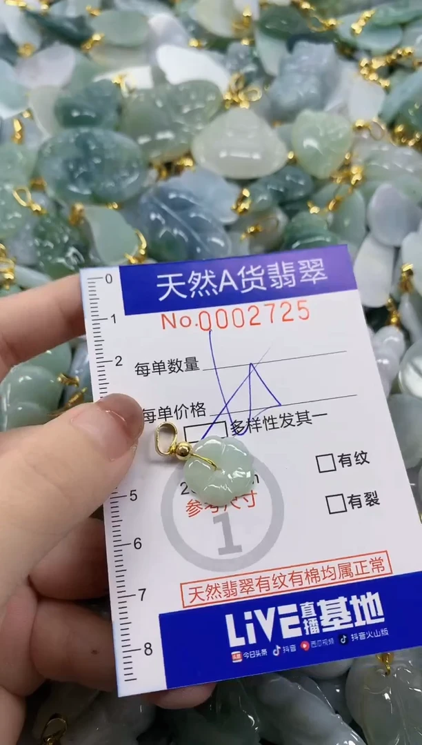 颈饰未镶嵌翡翠天然A货翡翠