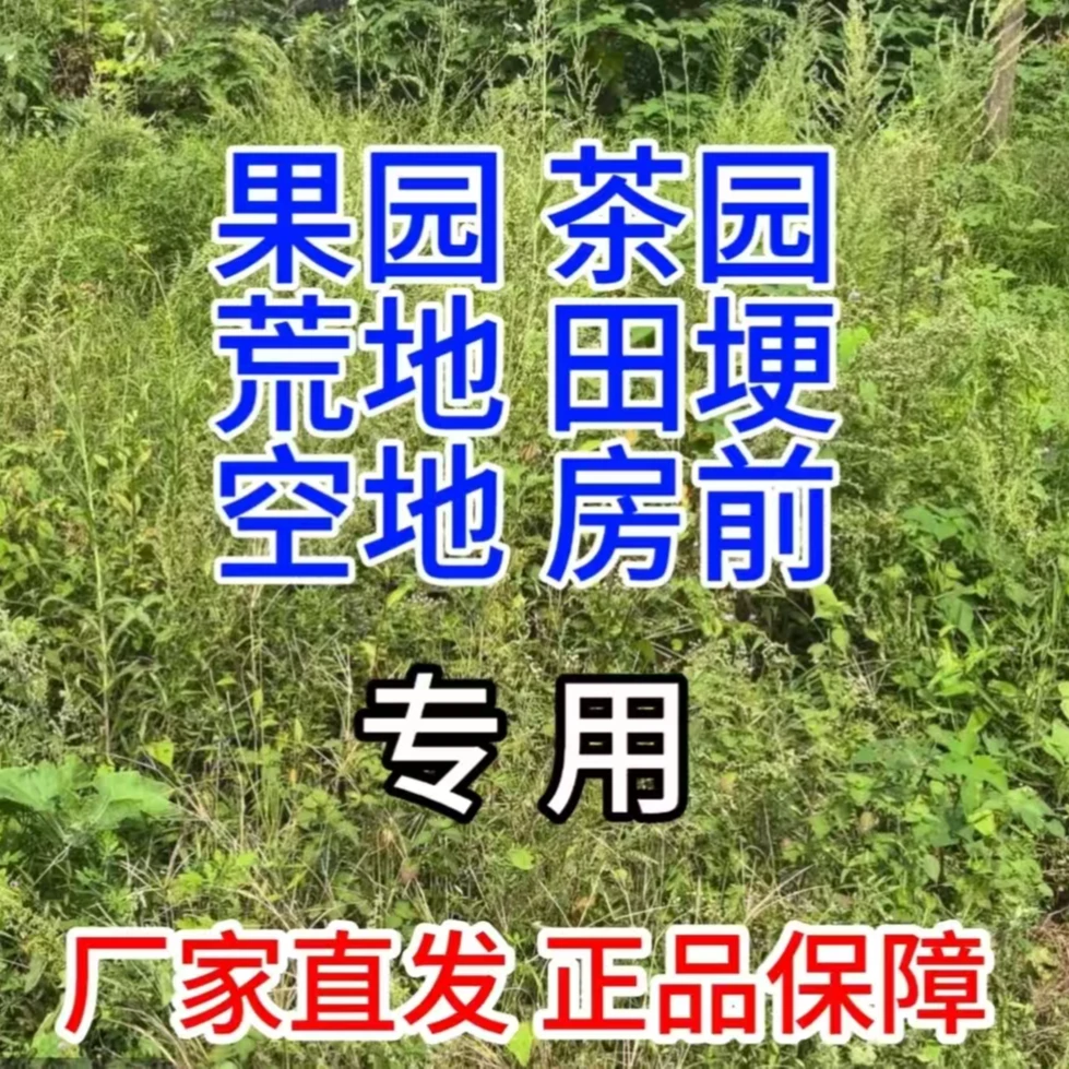 果园茶园荒地荒山通用有机肥