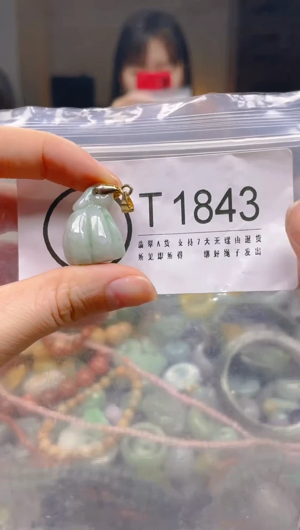 翡翠未镶嵌颈饰/T/翡翠A货一图一物