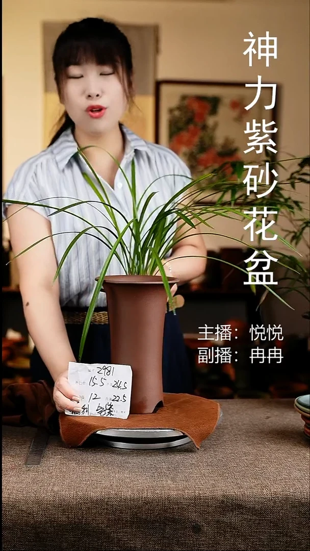 紫砂花盆花卉工艺2981