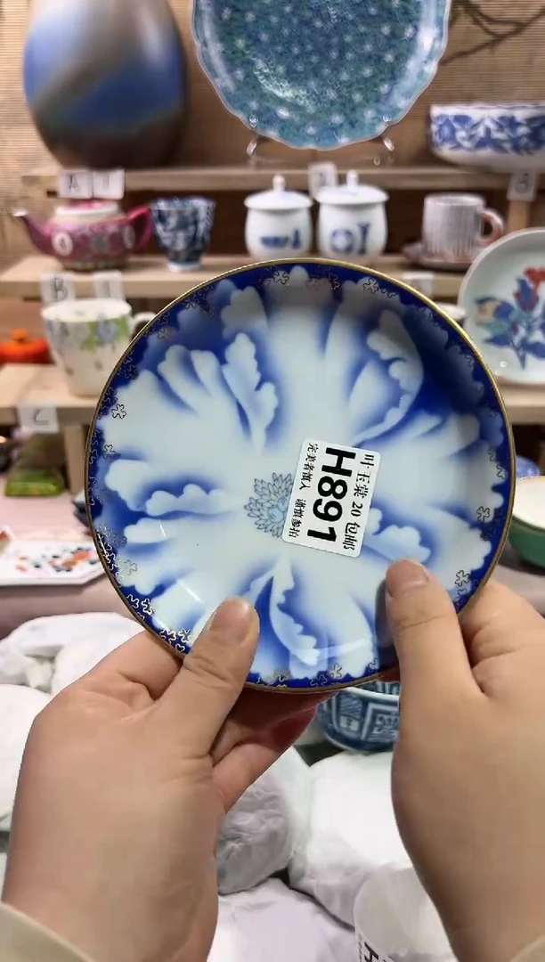 瓷片            E891