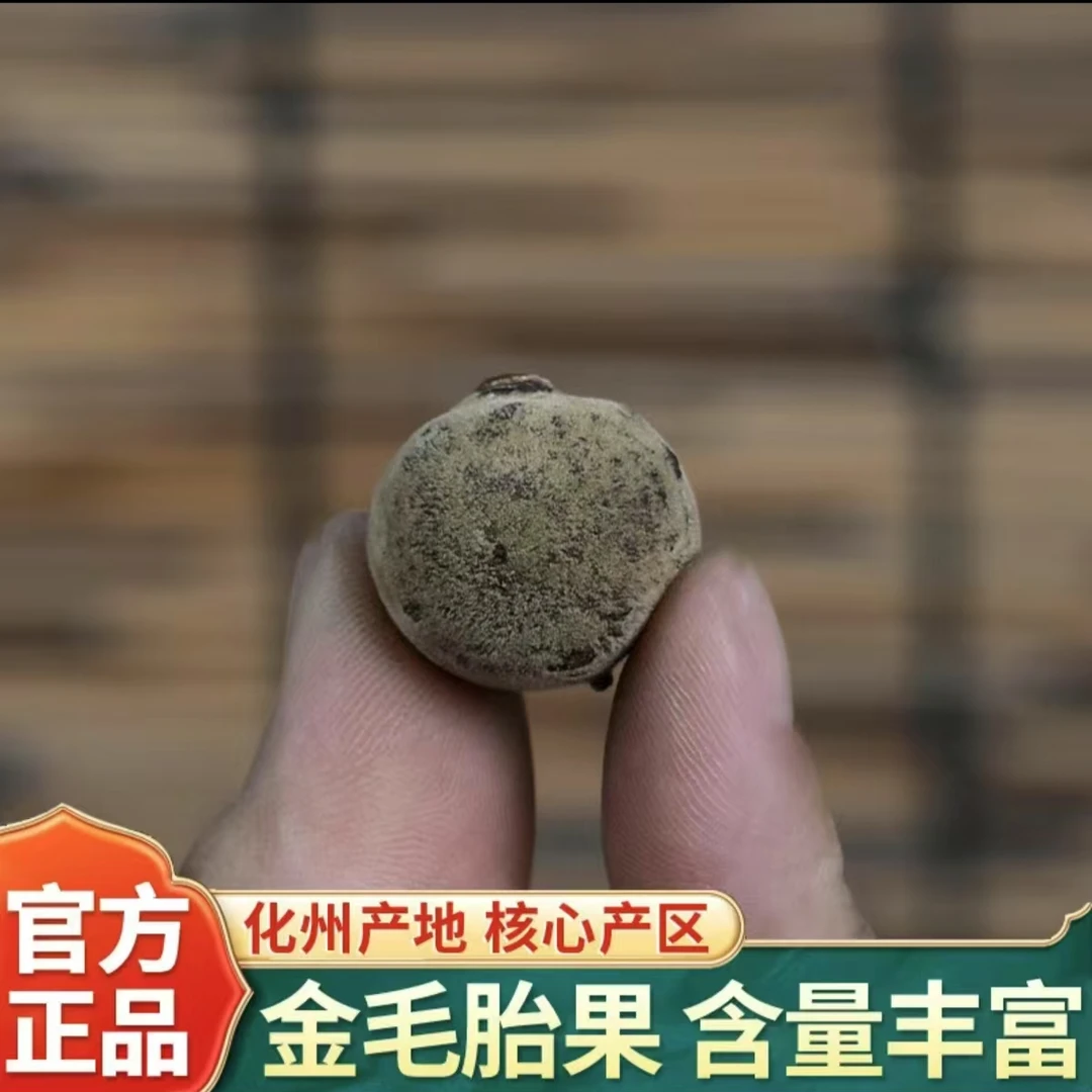 帝王金果【阿强陈皮】化州橘红大岭山金毛胎果 26陈 250g 拍一发二
