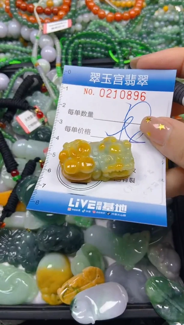 颈饰未镶嵌翡翠闪购C0210896