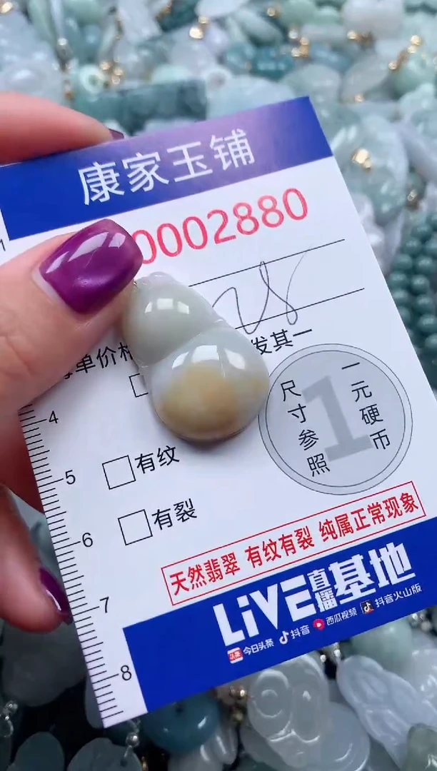 颈饰未镶嵌翡翠2880