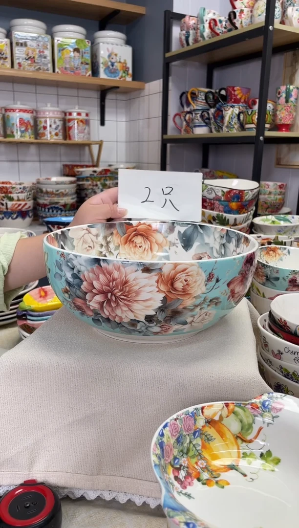 陶心**美优美10英寸碗 两个