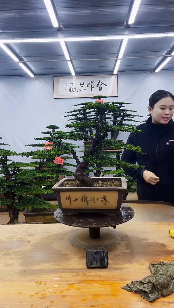 无花朵一物一拍，所见即所得