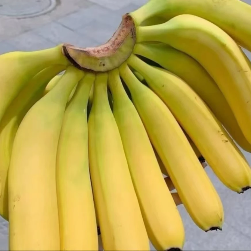 【鲜果】香蕉约1000g