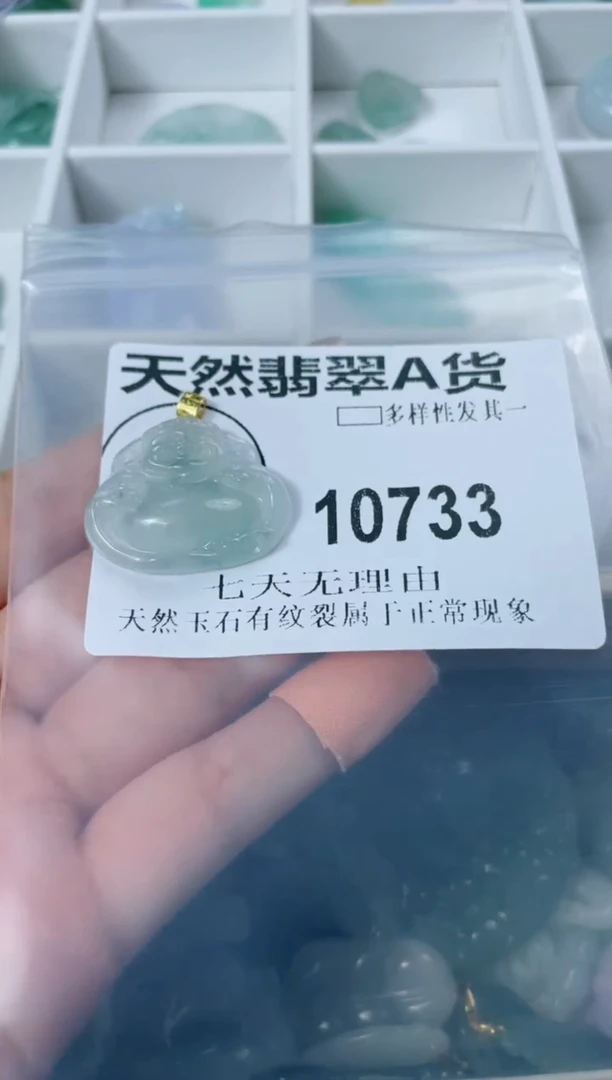 翡翠未镶嵌颈饰10733