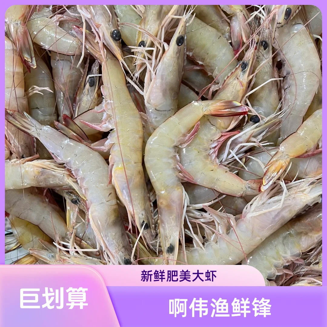 福建船捕（红虾海鲜/白丁虾）野生虾个别松头露头介意勿拍顺丰到家