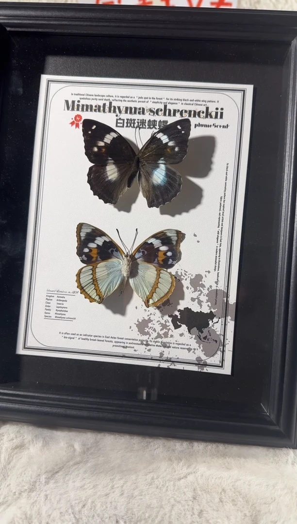 玻璃白斑迷双生