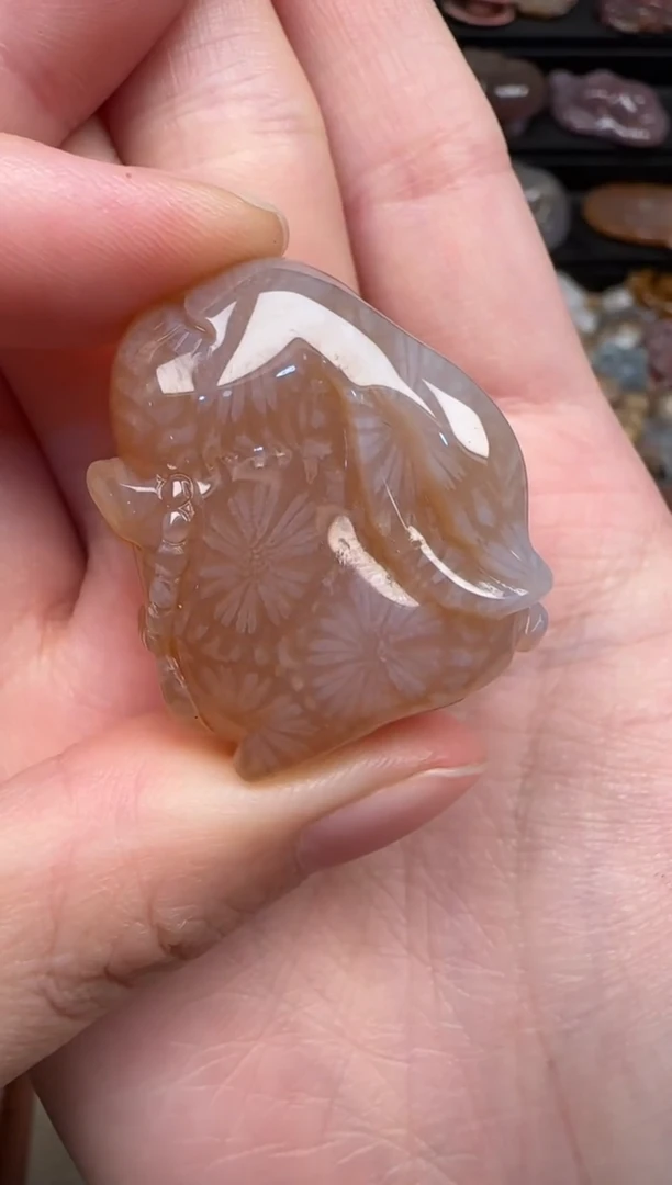 颈饰未镶嵌硅化珊瑚（珊瑚玉）233