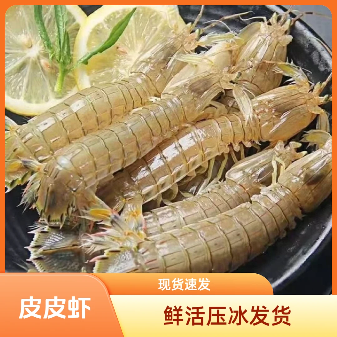 【保鲜不保活】特价小皮皮虾 鲜活充氧发货 野生大小不均介意勿拍