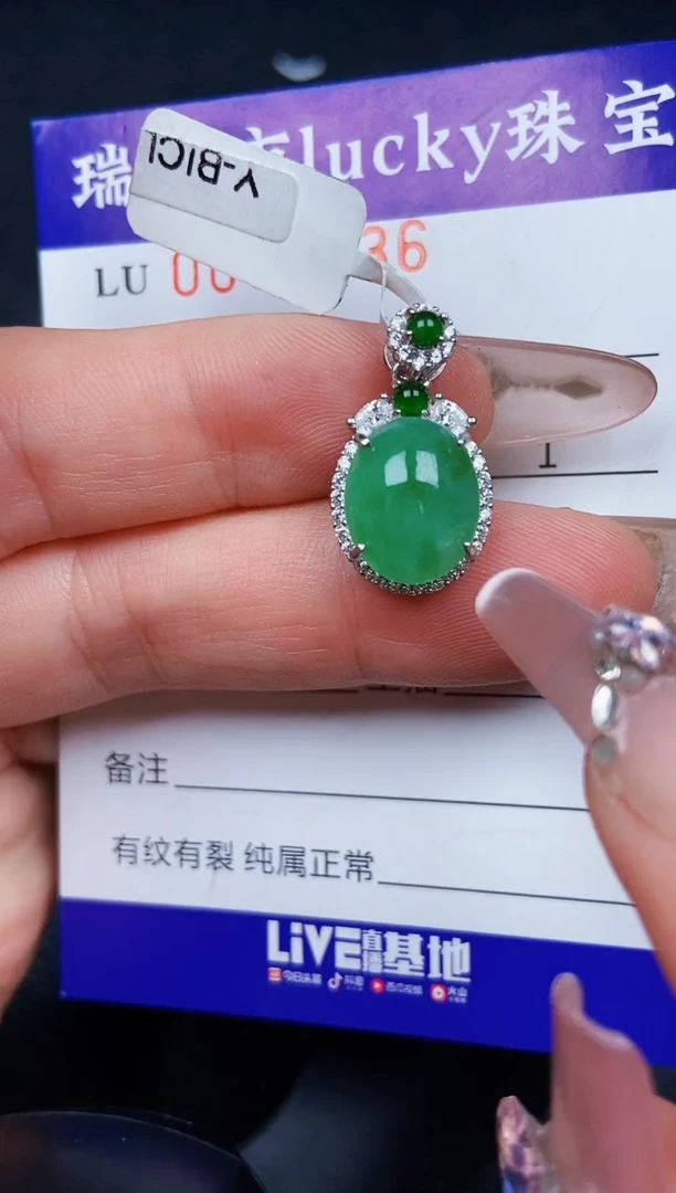 翡翠银S925镶嵌颈饰6636