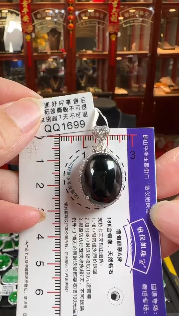 颈饰18K金镶嵌翡翠QQ1699墨翠蛋面