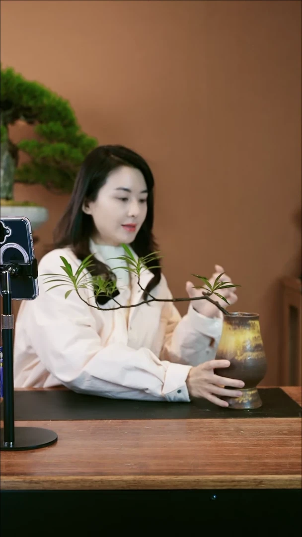 【闪购商品】盆景栀子花