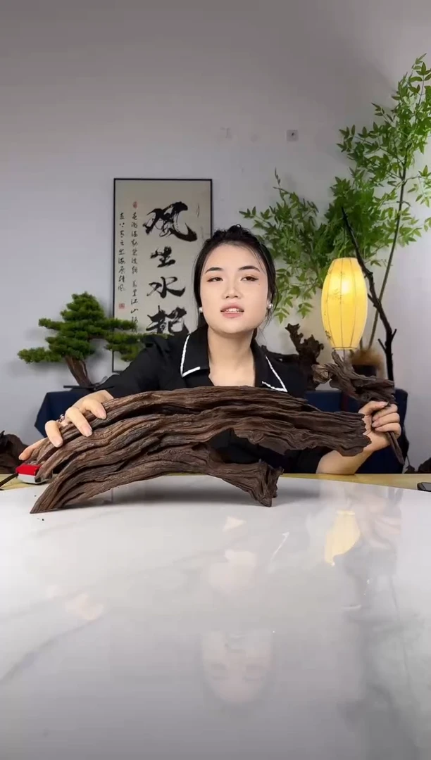 海*拍这个定向编号58