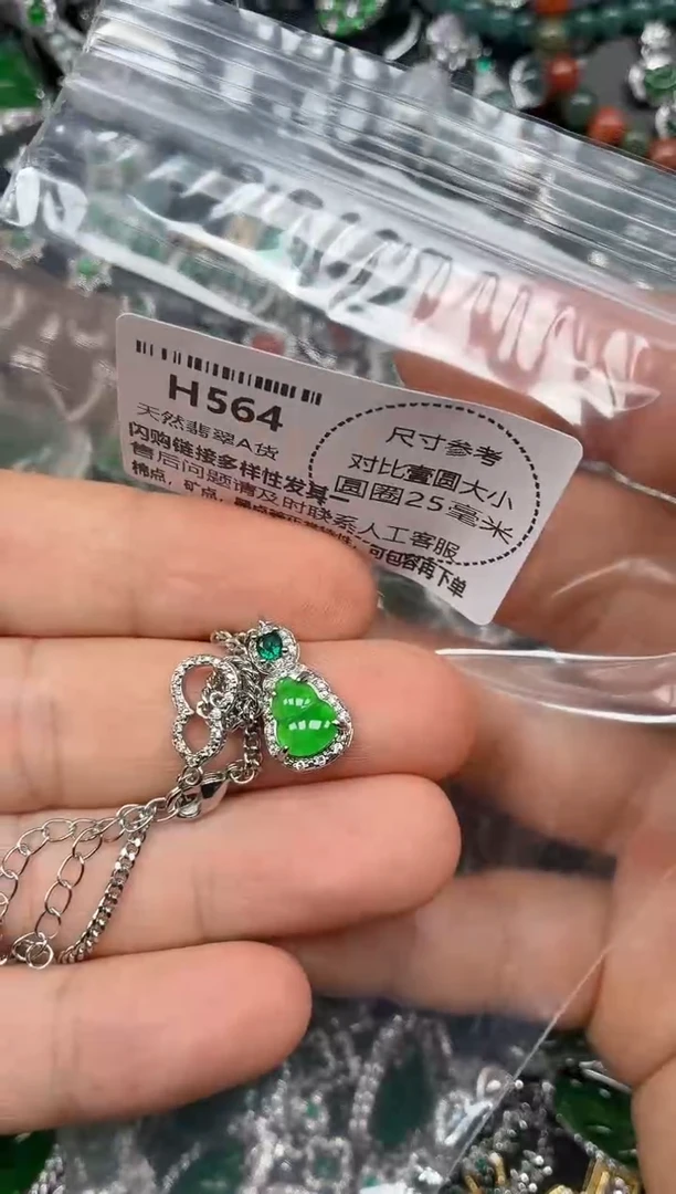 颈饰未镶嵌翡翠H564项链