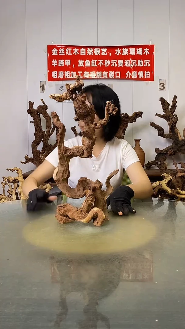 香榧木左****）金丝红木   羊蹄甲
