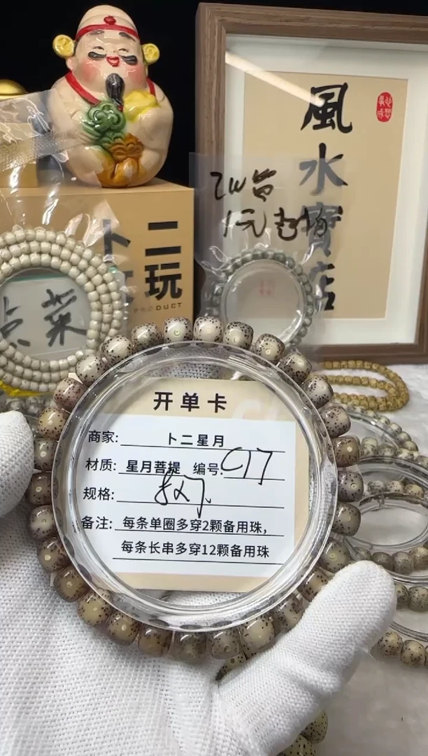 手串星月菩提单圈c17