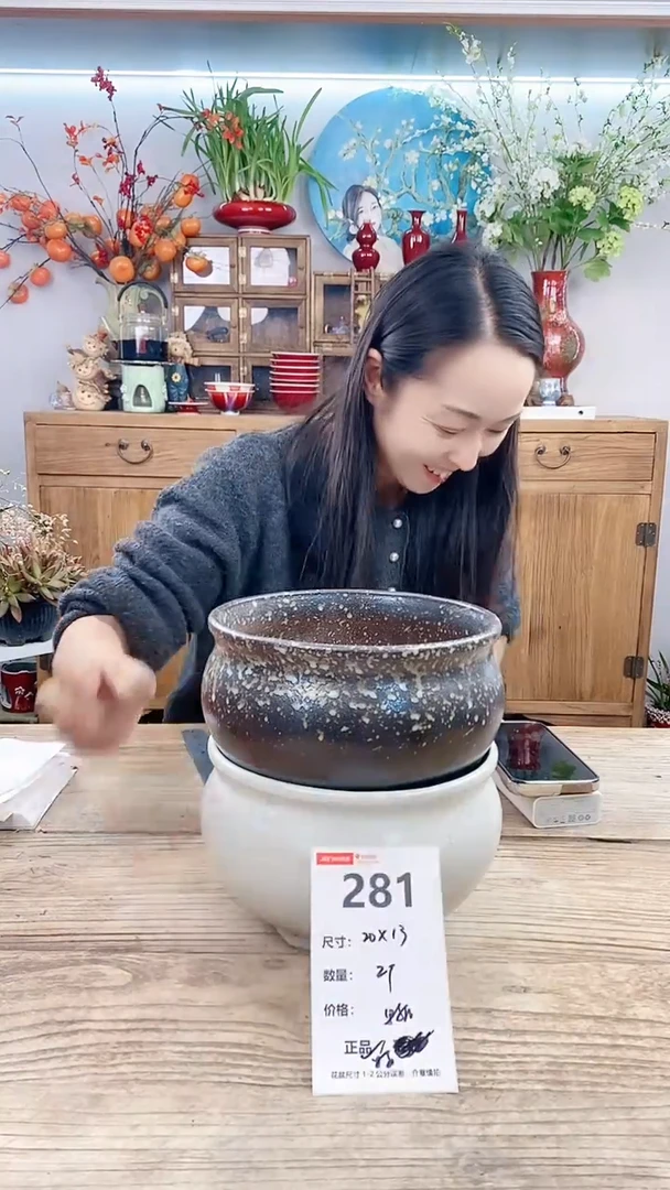 【闪购商品】红陶281