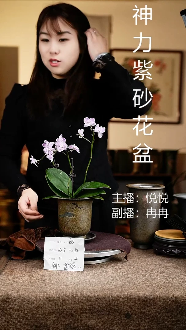 紫砂花盆花卉工艺615+z