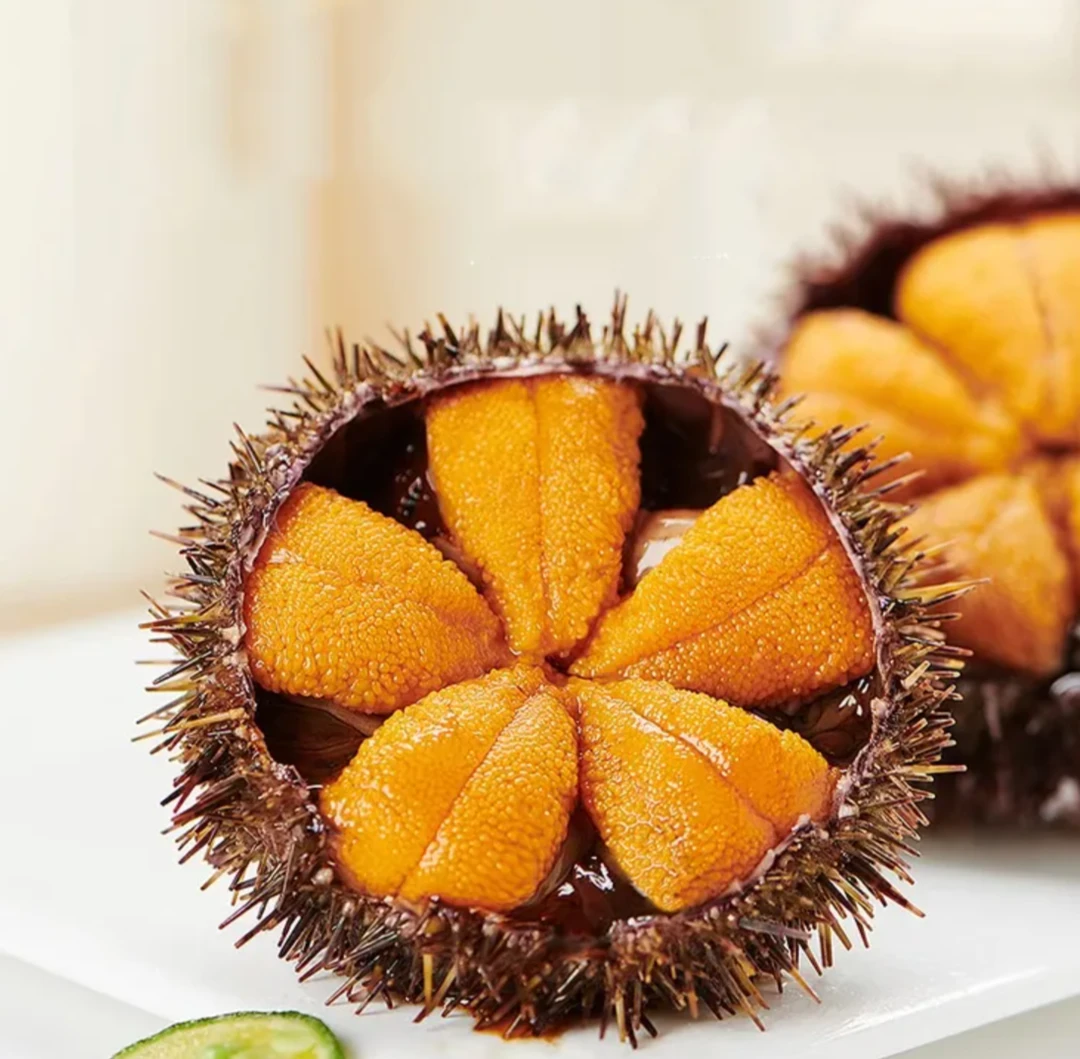 新鲜美味汕尾本地野生海胆（纯天然  0添加 ）