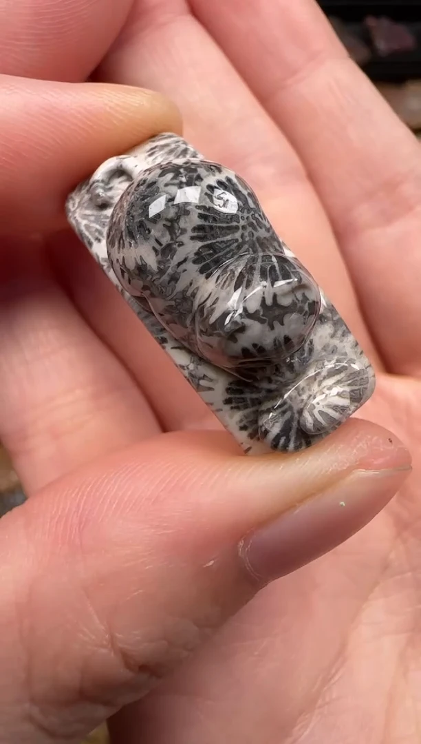 硅化珊瑚（珊瑚玉）未镶嵌颈饰568