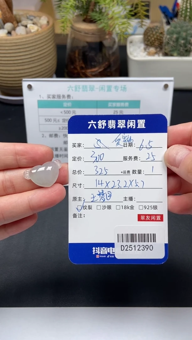 翡翠未镶嵌颈饰D2512390