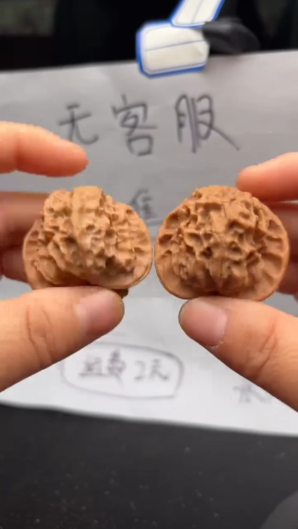 把件文玩核桃69白蛇骨