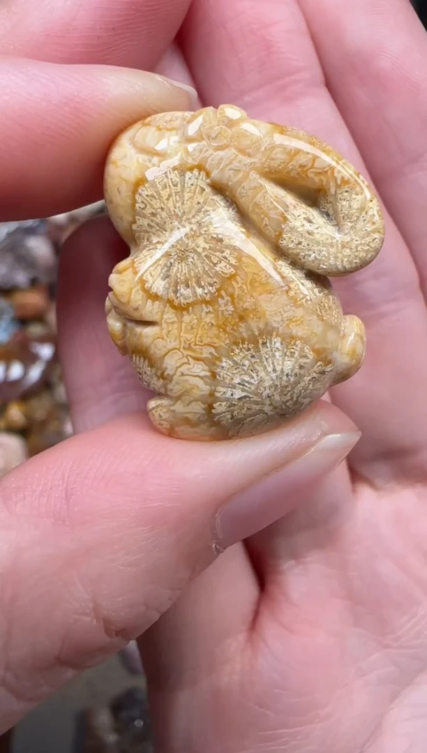 硅化珊瑚（珊瑚玉）未镶嵌颈饰342