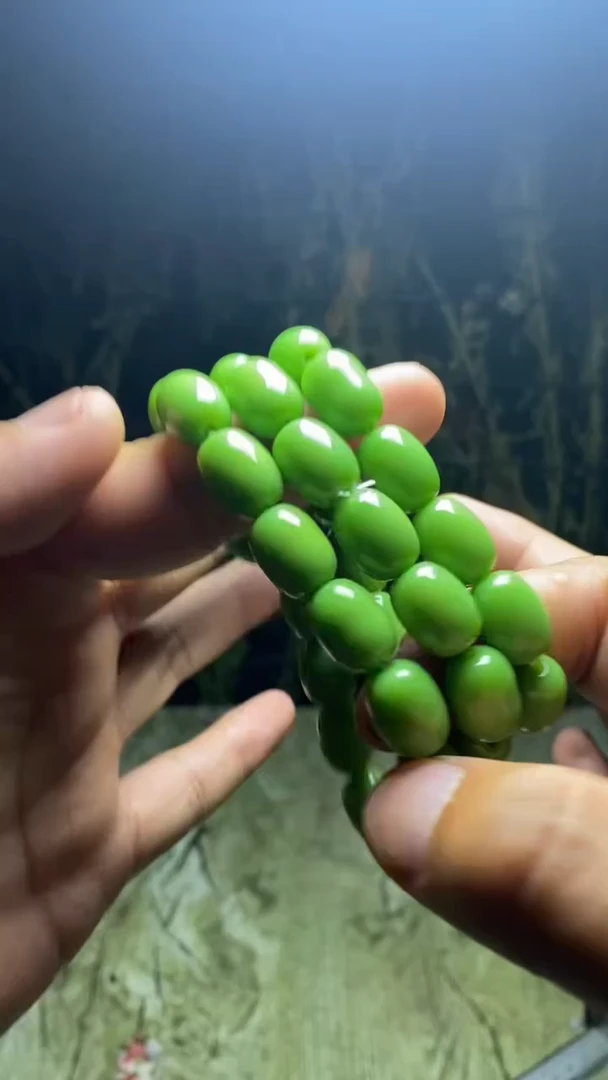 1116    精美项链