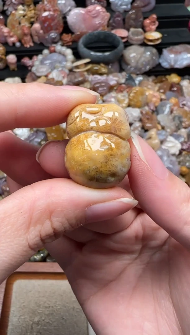 颈饰未镶嵌硅化珊瑚（珊瑚玉）804
