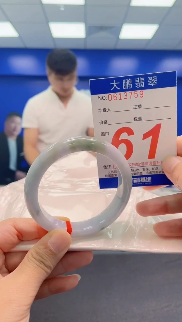 未镶嵌手镯翡翠AAAAAAAAA