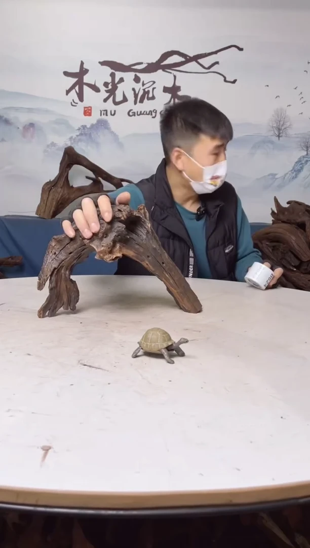 【闪购商品】A623木光沉木木光沉木