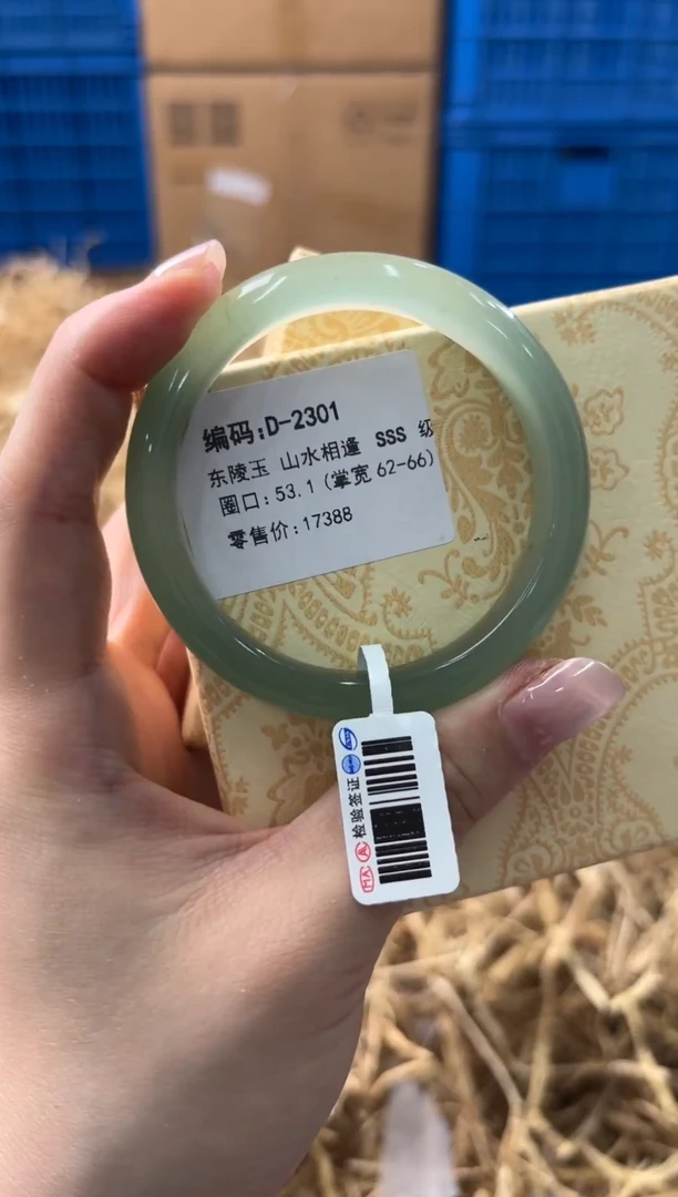 未镶嵌手镯石英质玉D-2301