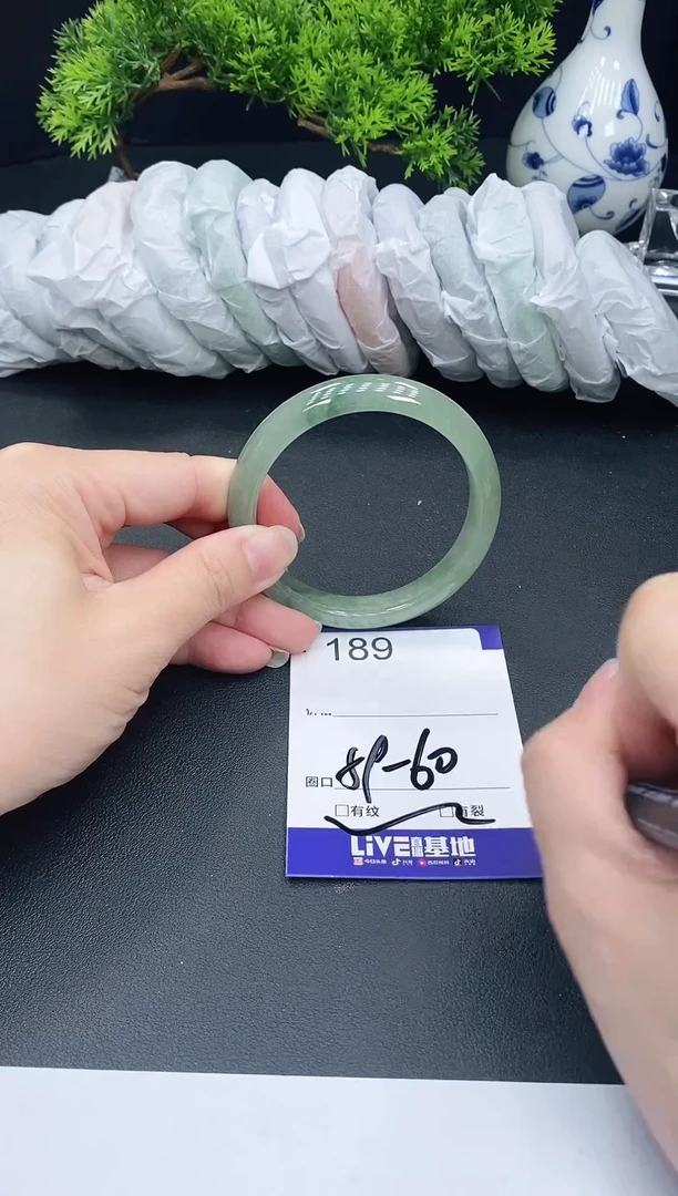 未镶嵌手镯翡翠189